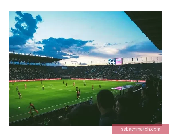 聚焦2026世界杯夺冠赔率变化趋势与热门球队实力格局深度解析